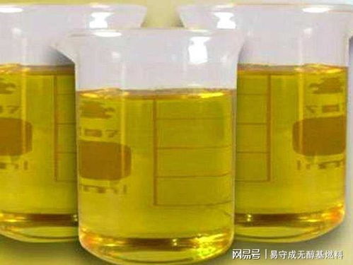 植物油燃料与甲醇的能效与成本比较分析